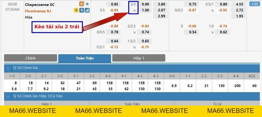 Cách Tính Kèo ma66.website - Ma66