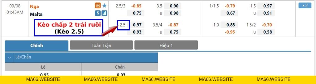 Kèo 2.5, 2 1/2 trái là gì? Cách tính kèo chấp 2 trái rưỡi dễ hiểu nhất - Ma66