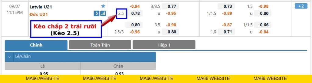 Kèo 2.5, 2 1/2 trái là gì? Cách tính kèo chấp 2 trái rưỡi dễ hiểu nhất - Ma66