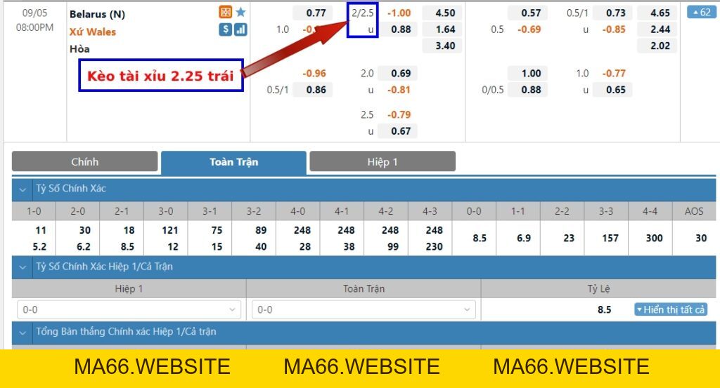 Kèo tài xỉu 0.25, 1.25, 2.25 trái là gì? Cách tính kèo dễ hiểu nhất - Ma66