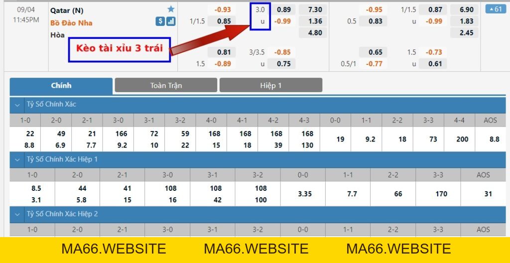 Kèo tài xỉu 1 trái, 2 trái, 3 trái là gì? Cách tính kèo đơn giản nhất - Ma66